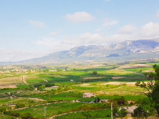 VUE SUR SIERRA CANTABRIA DE LAGUARDIA @Henry CLEMENS