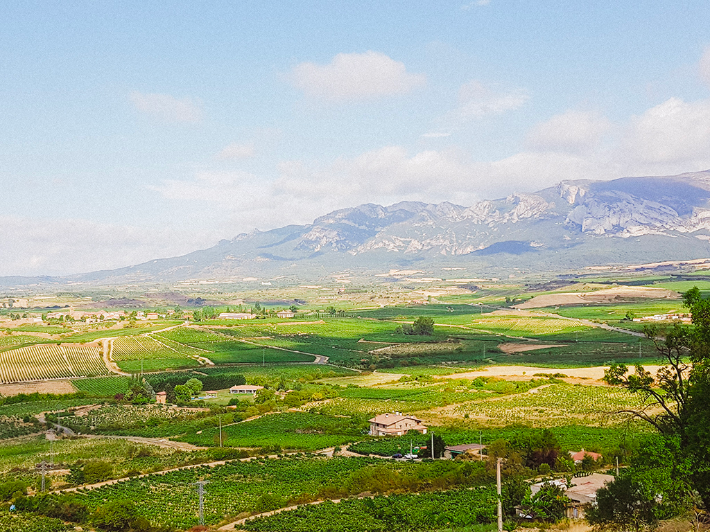 VUE SUR SIERRA CANTABRIA DE LAGUARDIA @Henry CLEMENS