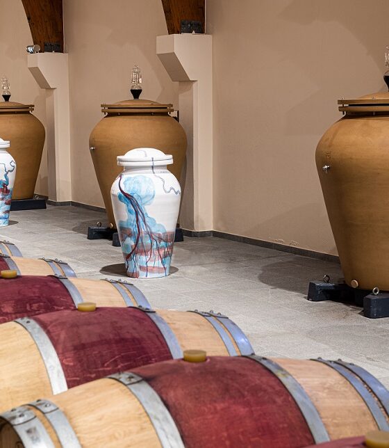 chateau-vin-fleur-de-vin-art-exposition-contemporain-barthelemy-Toguo