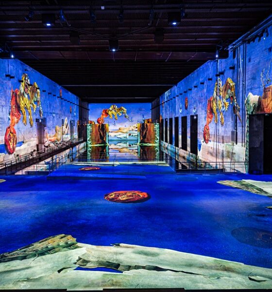dali-bassins-des-lumieres-bordeaux-exposition