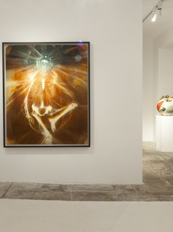 galerie-lacombe-Biarritz-exposition-baroque-art