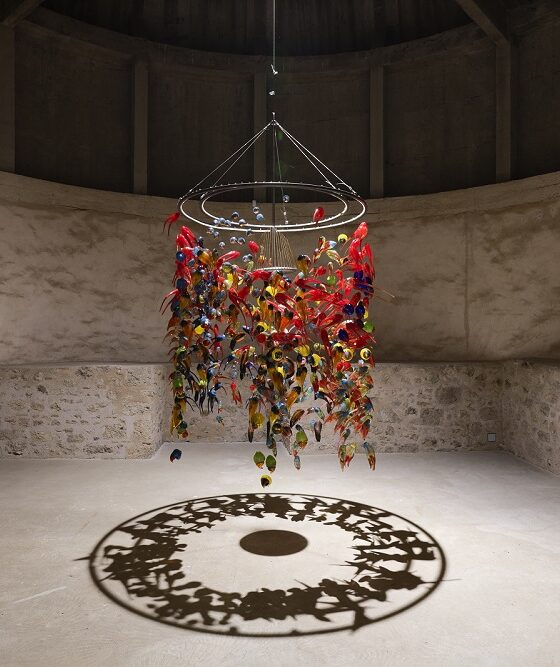 ibiza-musée-rochechouart-photographie-nature-art-contemporain