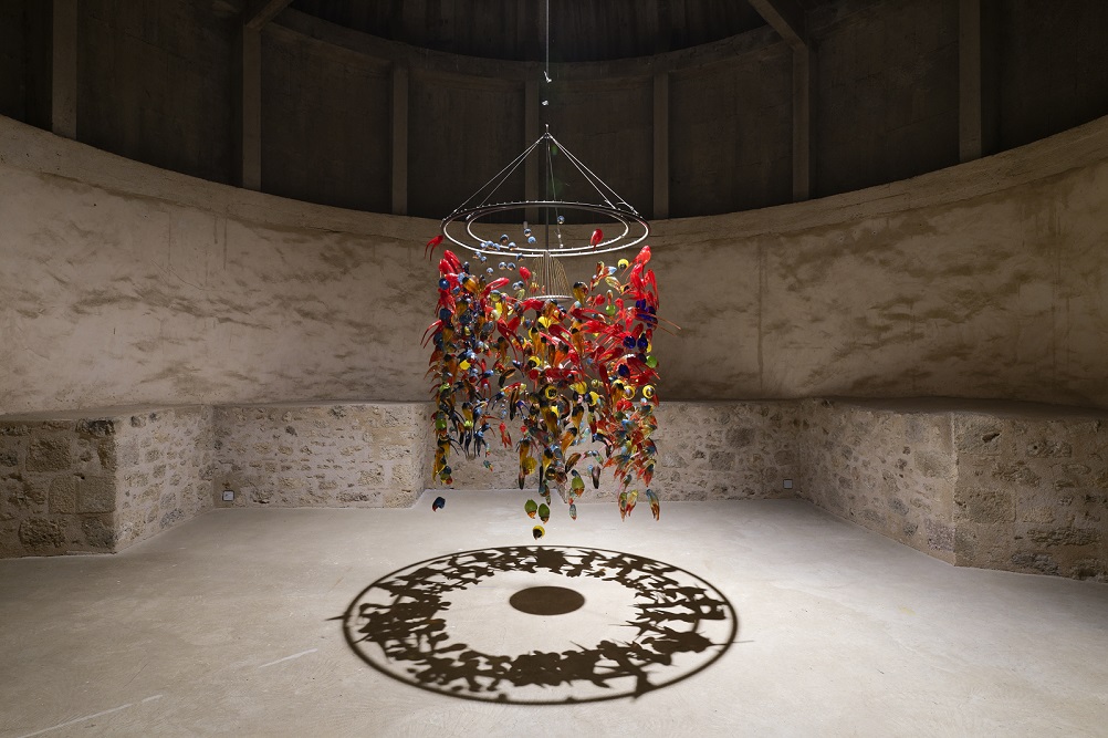 ibiza-musée-rochechouart-photographie-nature-art-contemporain