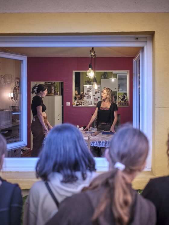 theatre-pays-basque-nationale-su-aquitain-programmation