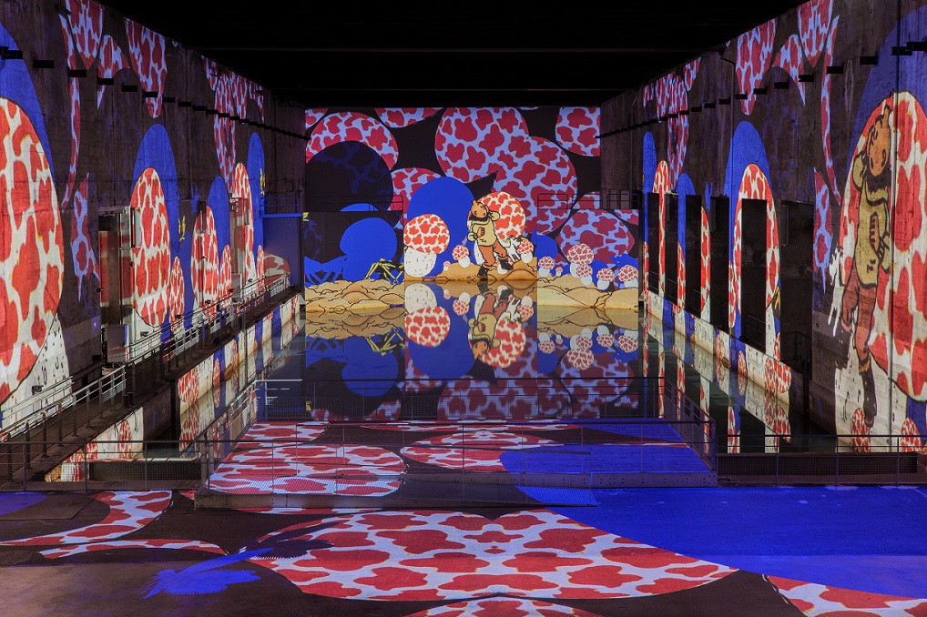 bassins-lumière-tintin-milou-exposition-immersive