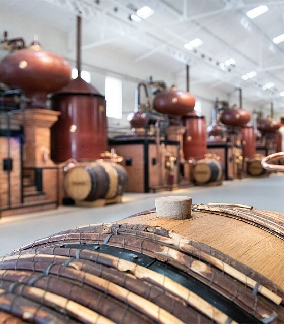 Hennessy-experience-distillerie-cognac