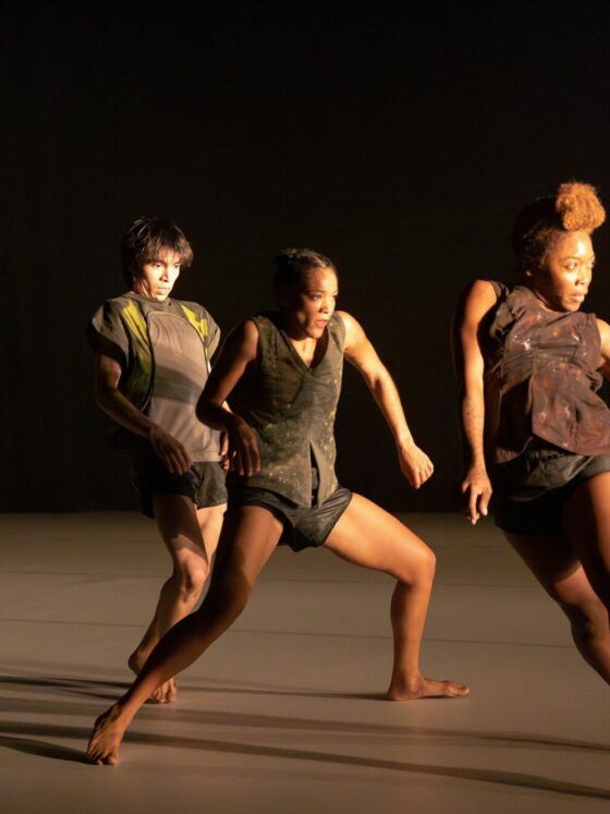 gounouj-danse-aubusson-agenda-culturel