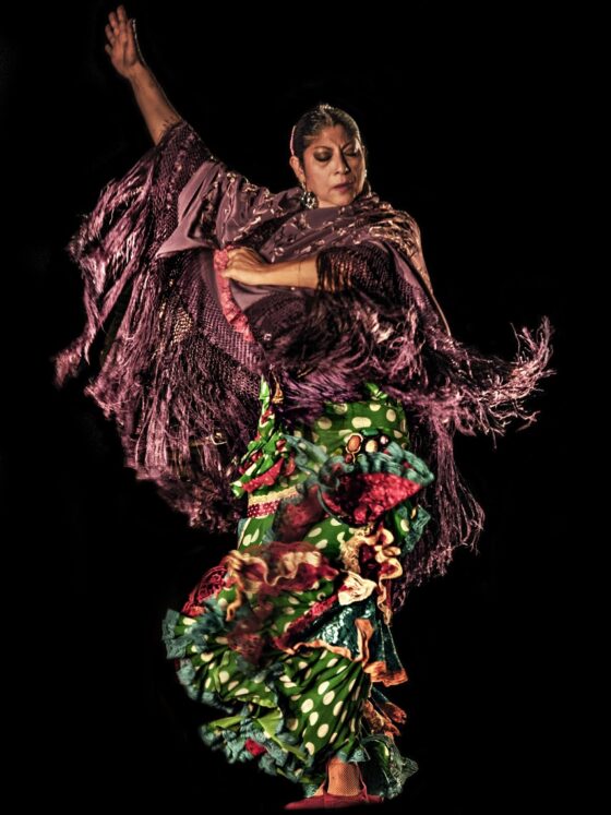 Scènes-Arte-Flamenco-Mont-de-Marsan