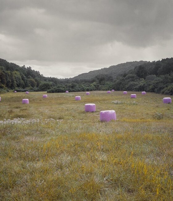 Bergerac-Photographie-Centre-d'art