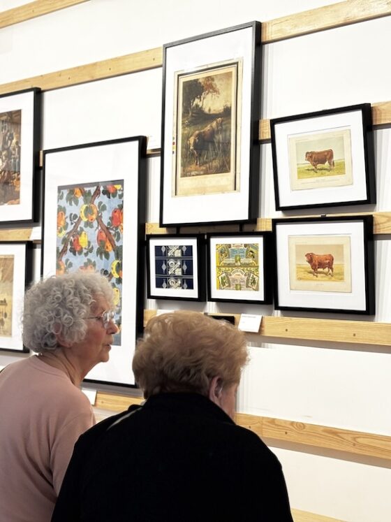musee-art-histoire-saint-yrieix-la-perche