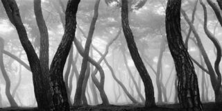 Expositions-Arts-Martillac-La-Rochelle