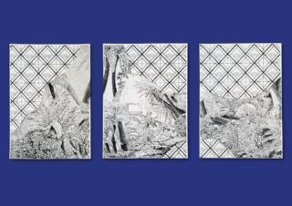 paysages-nature-périgueux