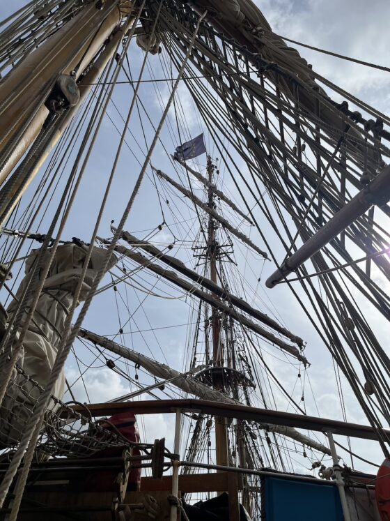 tall-ship-race-bordeaux-programme-2027