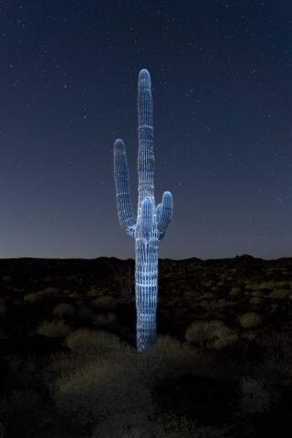 niort-photo-junkpage-une-novembre