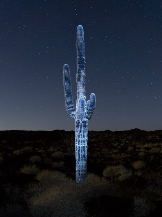 niort-photo-junkpage-une-novembre