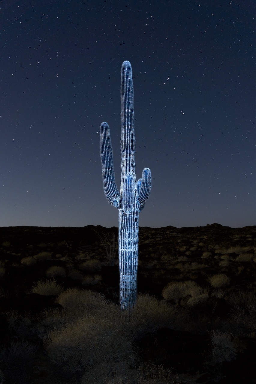 niort-photo-junkpage-une-novembre