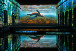 bassins-lumieres-programme-ocean-bordeaux