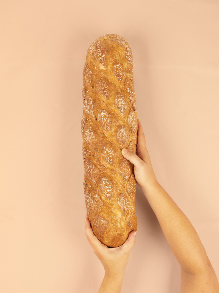 pain-hospitalité-exposition-nouvelle-aquitaine