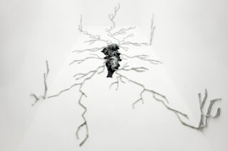 Genestra-exposition-pessac