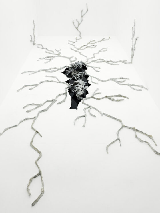 Genestra-exposition-pessac