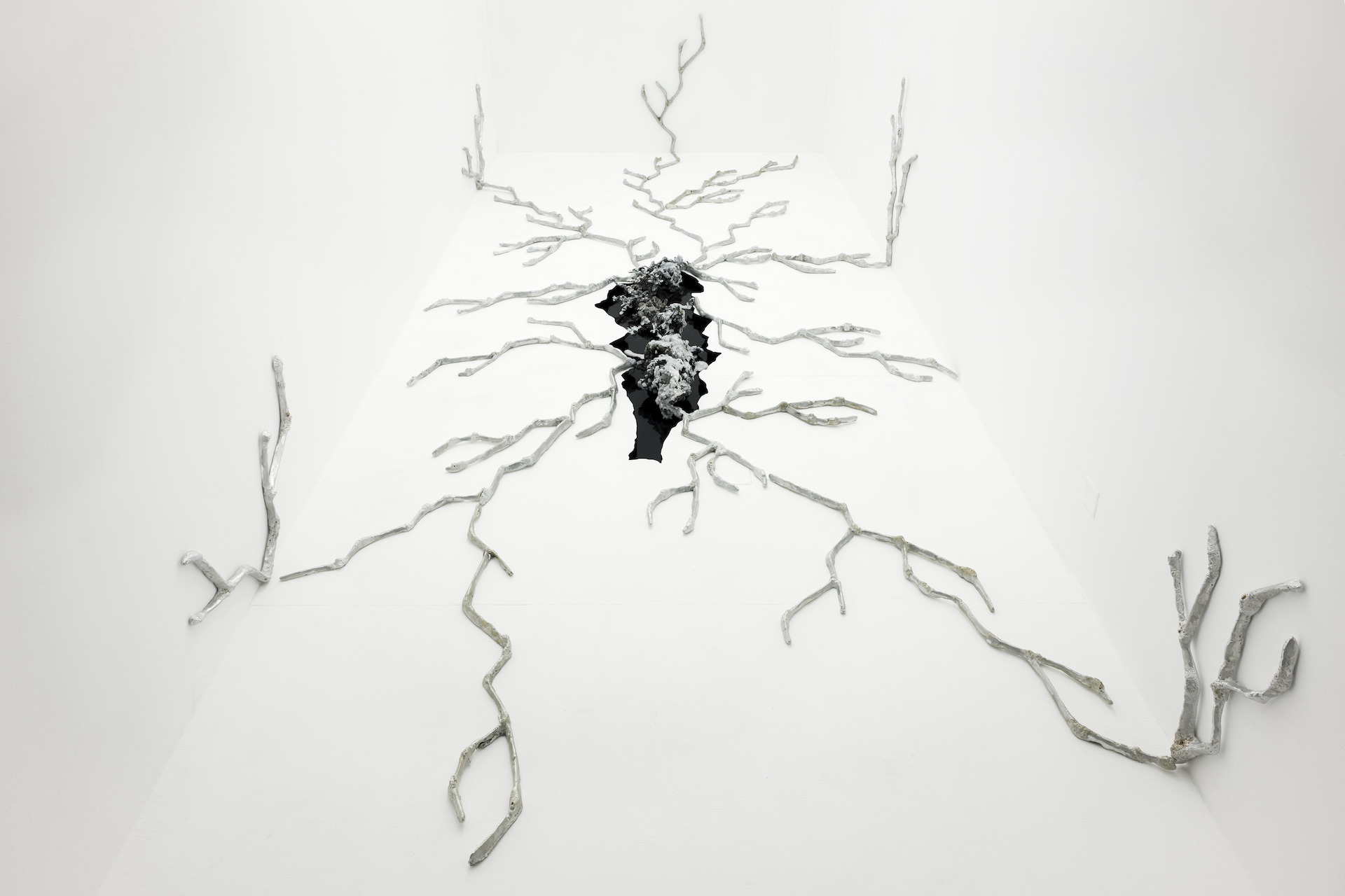 Genestra-exposition-pessac