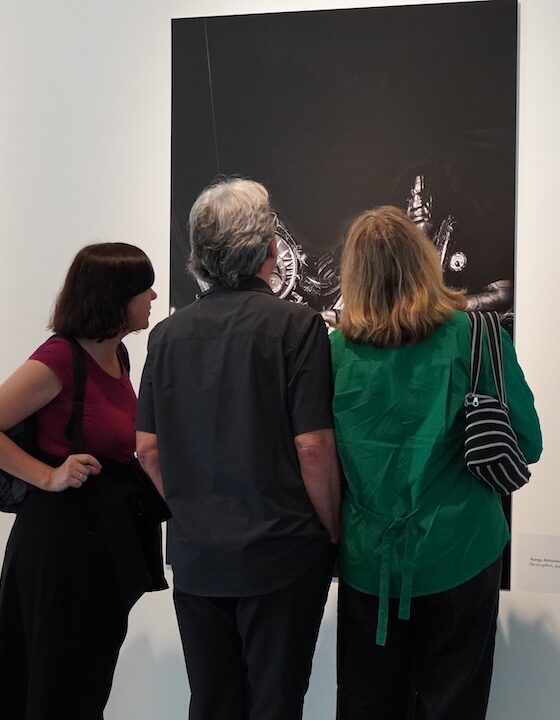 institut-des-afriques