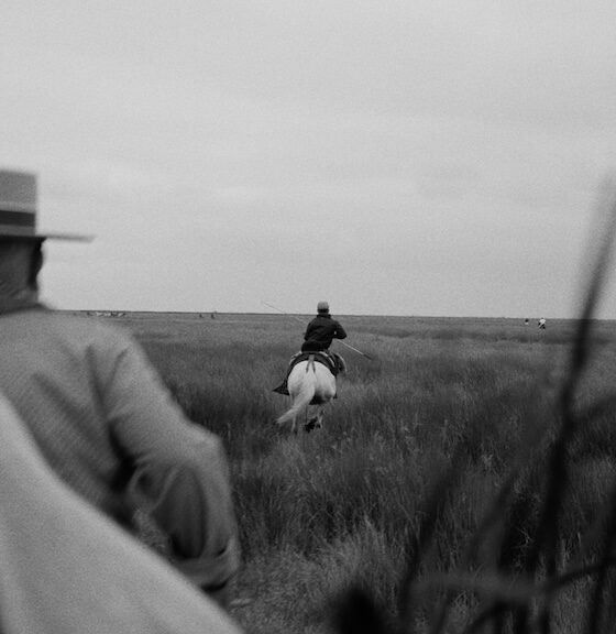 lamarisma-manu-trillo