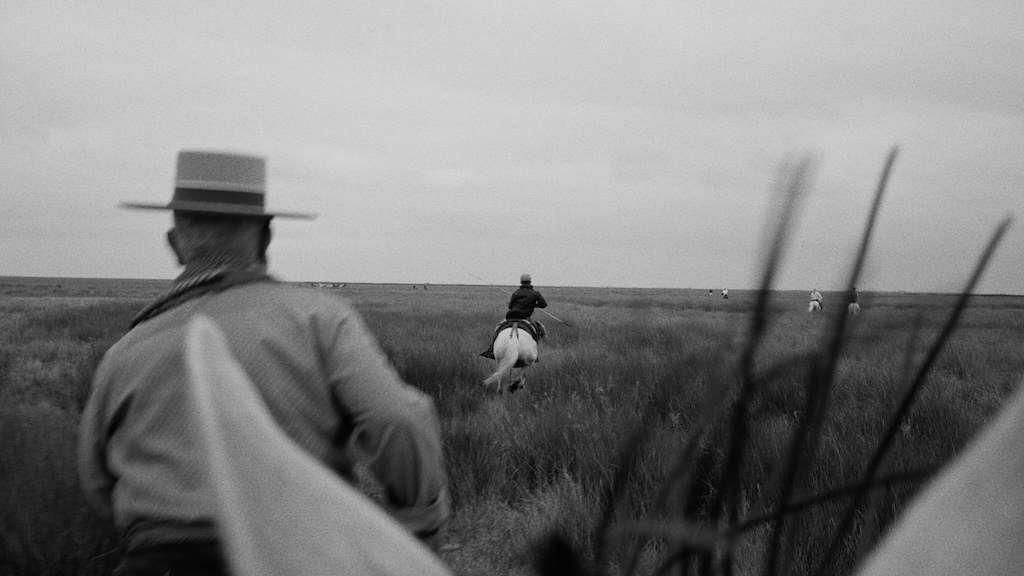 lamarisma-manu-trillo