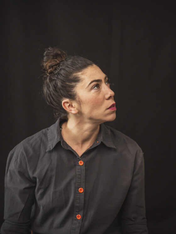 La Famille vient en mangeant-landes-spectacle-programme-agenda