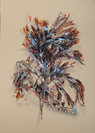 expositions-musées-hiver 2026-aquitaine-bordeaux