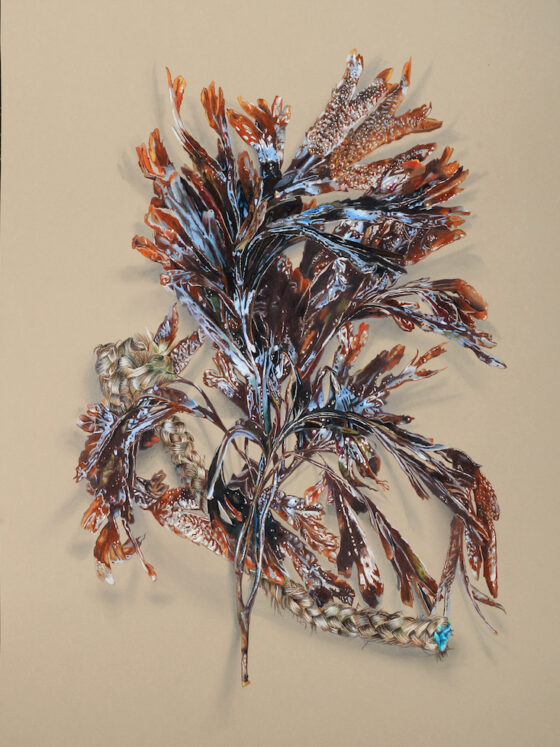 expositions-musées-hiver 2026-aquitaine-bordeaux