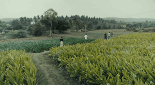 Festival du film environnemental Poitiers