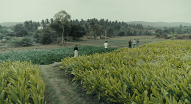 Festival du film environnemental Poitiers