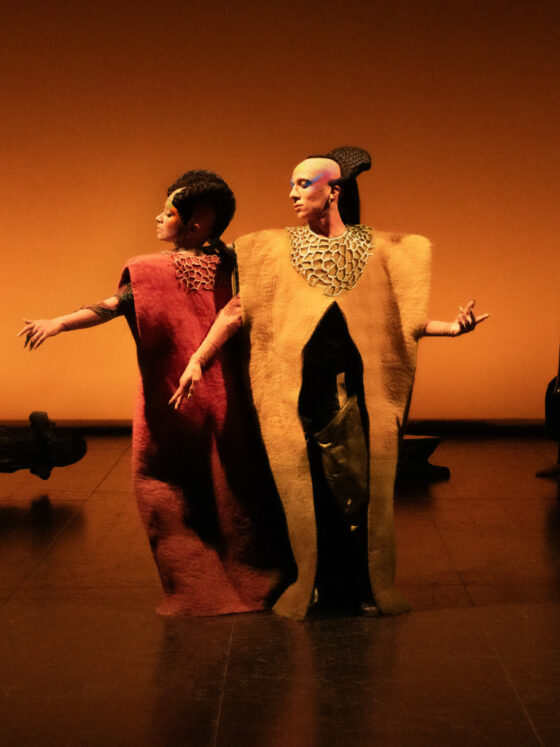 ultimo helecho françois chaignaud poitier limoges