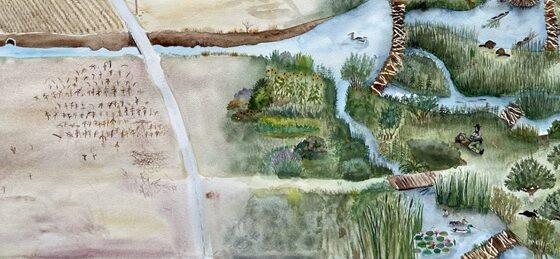 Suzanne-Husky-exposition-Rurart-aquarelle-exposition-galerie-Alain-Gutharc-écologie-crise-climatique