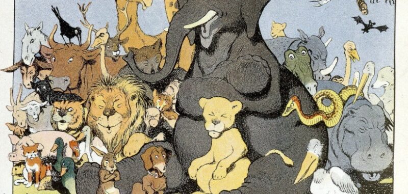 exposition-BD-Angoulême-Benjamin-Rabier-jeunesse