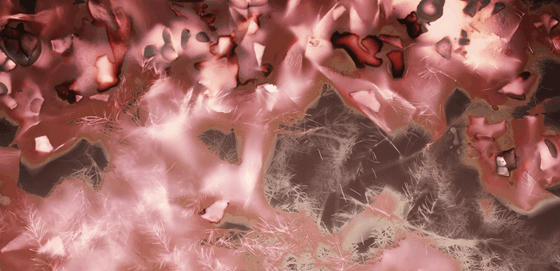 transformations-©Solène-Reymond-visuel-13-transformations, photographie numérique et alternative, couleur, 50 x 70 cm et 60 x 80 cm, impression sur papier Arches 300g, 2023-en cours.