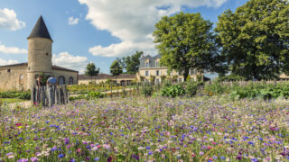 Château Guiraud-garden cercle-guiraud