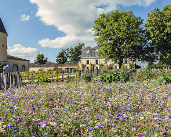 Château Guiraud-garden cercle-guiraud