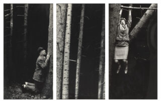 melle-biennale-expositions