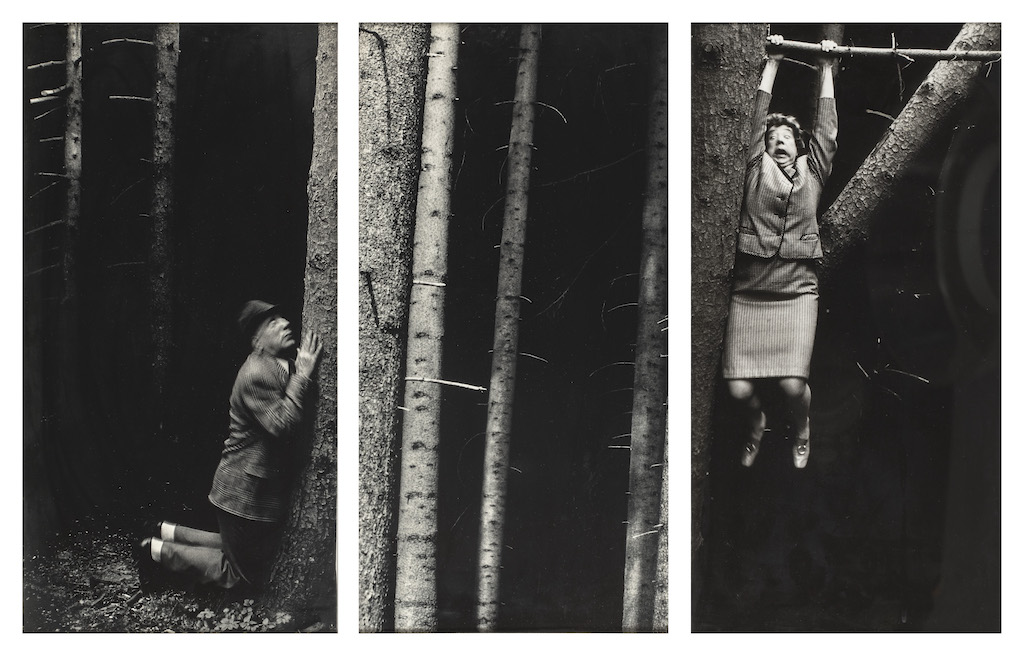 melle-biennale-expositions