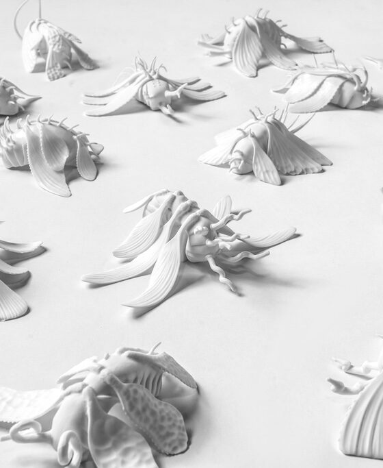 bernardaud-exposition-ceramique-creation-contemporain